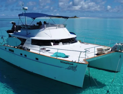 Best Islands in Seychelles for Serious Sportfishing