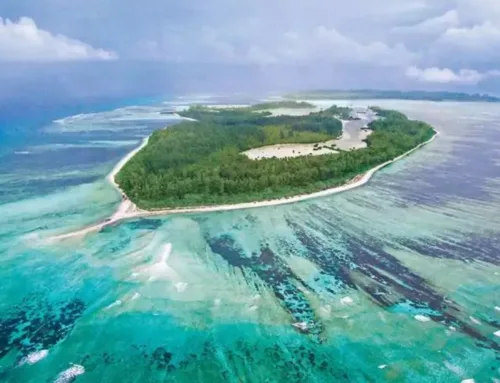 Seychelles vs Other Indian Ocean Fishing Destinations